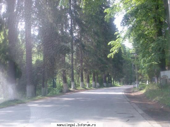 poze de la manastirea tisamana pozele mele ;)